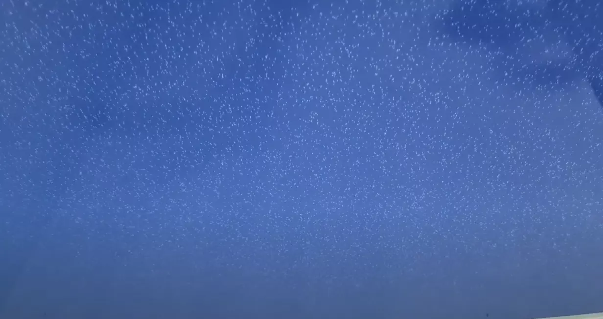 Пермь, Генерала Панфилова, 14, фото 3