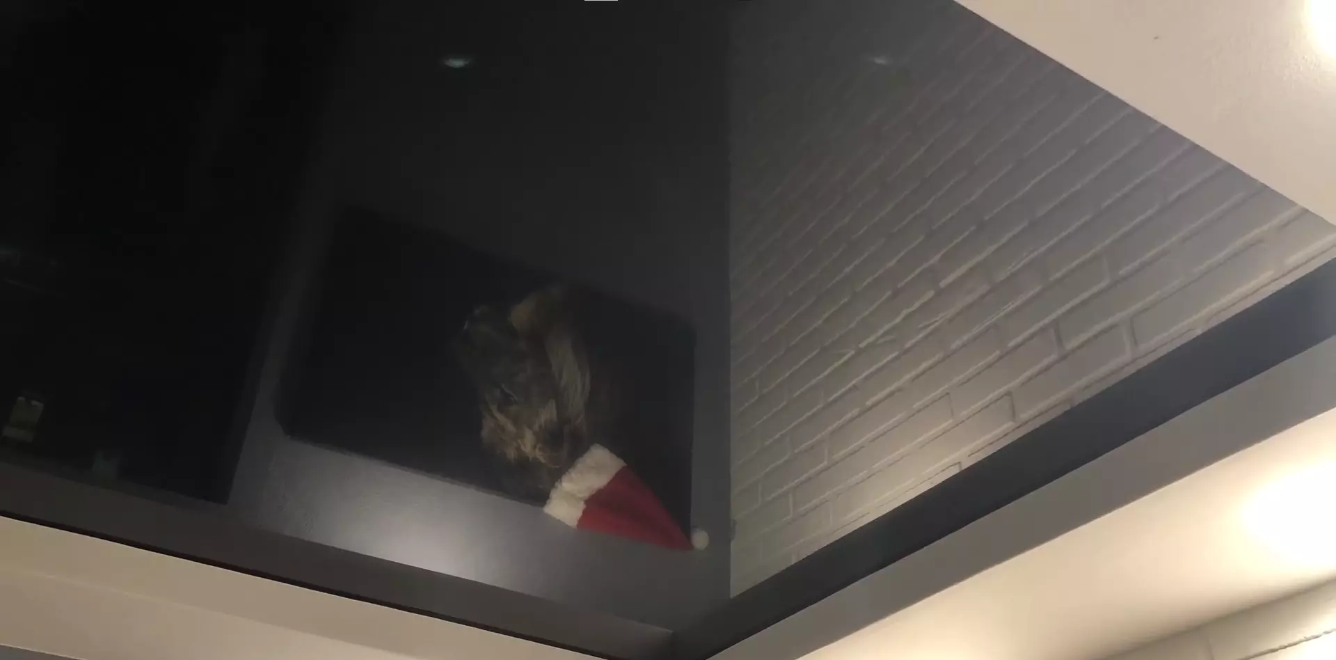 Красногорск, Октябрьская, 5, фото 3