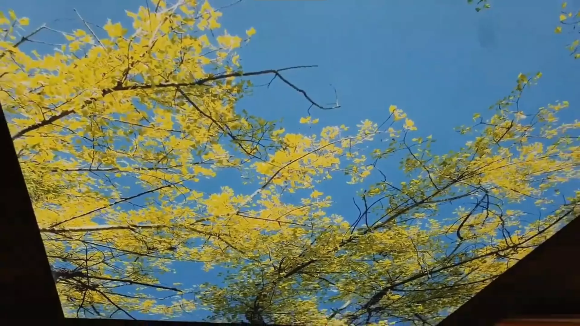 Казань, Галимджана Баруди, 16, фото 2